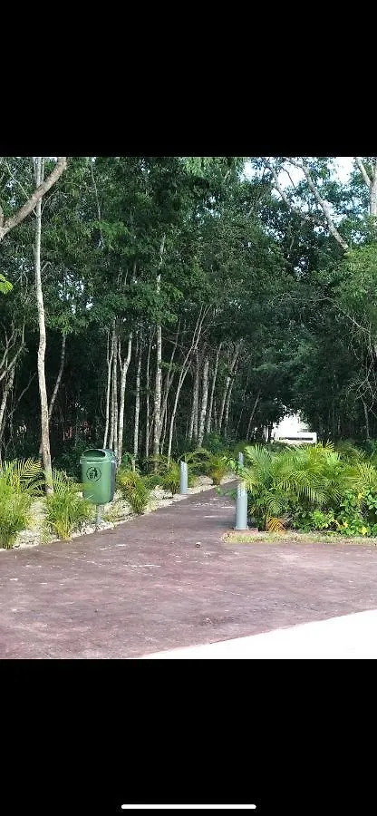 Condo Playa Delcarmen Mayakoba Playa del Carmen